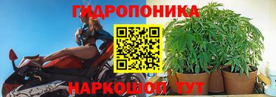 бошки Лесосибирск