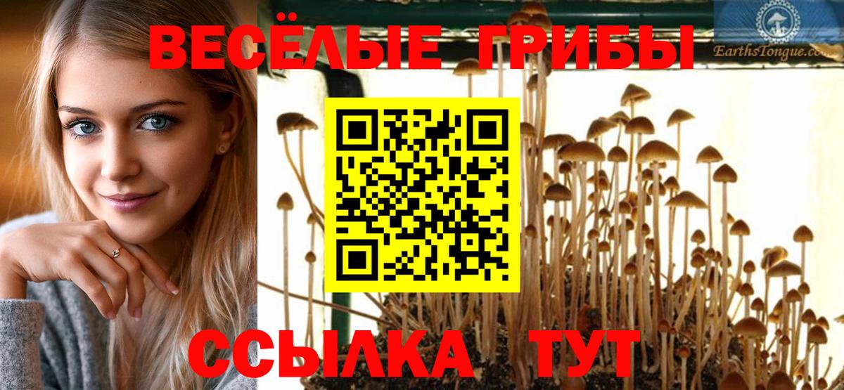 Галлюциногенные грибы MAGIC MUSHROOMS  Вход с VPN  Черногорск 