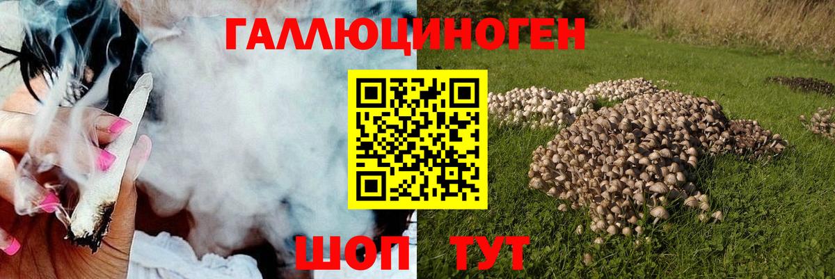 Галлюциногенные грибы Cubensis Черногорск